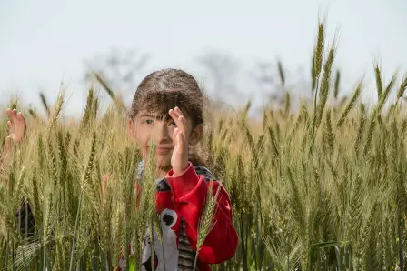 A Child playing a in grain field